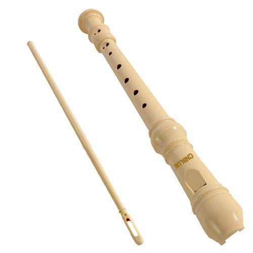 CNBLUE 2PCS Soprano Descant Recorder German Fingering recorder instrument for kids School Student with Cleaning Rod, Storage Bag