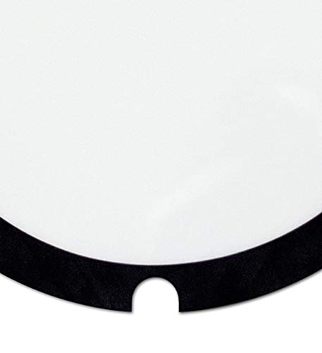 Big Fat Snare Drum Snare Drum Head (BFSD16SB)