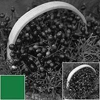 Tiffen 4311G1 43mm 11 Green 1 Filter