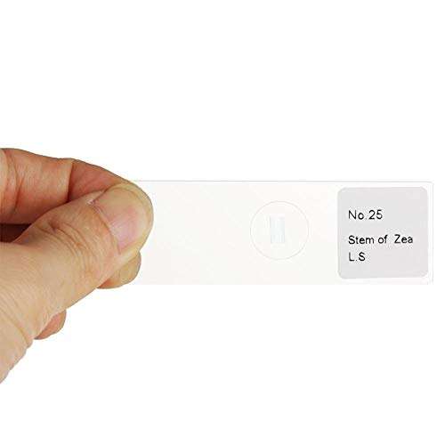 Prepared Microscope Slides 25pcs Biology Glass Lab Microscope Slides Specimens for Basic Biological Science Education with Includes Labels and Case
