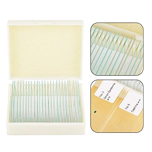 Prepared Microscope Slides 25pcs Biology Glass Lab Microscope Slides Specimens for Basic Biological Science Education with Includes Labels and Case