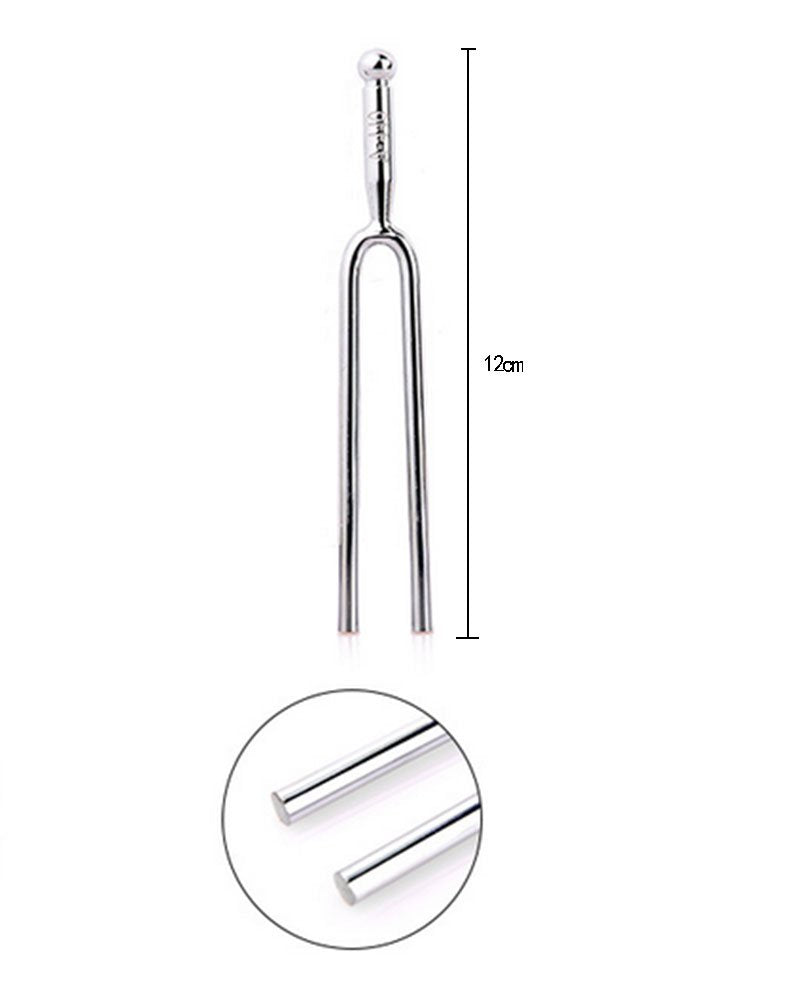 A Tuning Fork - "A" 440 Hz with Soft Shell Case