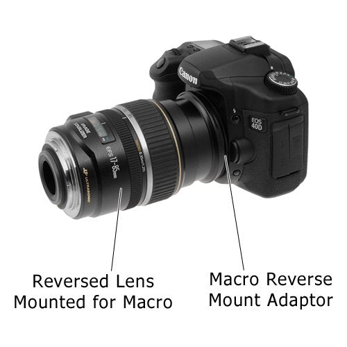 Fotodiox 77mm Macro Reverse Mount Adapter, for Canon EOS 1D, 1DS, Mark II, III, IV, 1DC, 1DX, D30, D60, 10D, 20D, 20DA, 30D, 40D, 50D, 60D, 60DA, 5D, Mark II, Mark III, 7D, Rebel XT, XTi, XSi, T1, T1i, T2i, T3, T3i, T4, T4i, C300, C500 Single