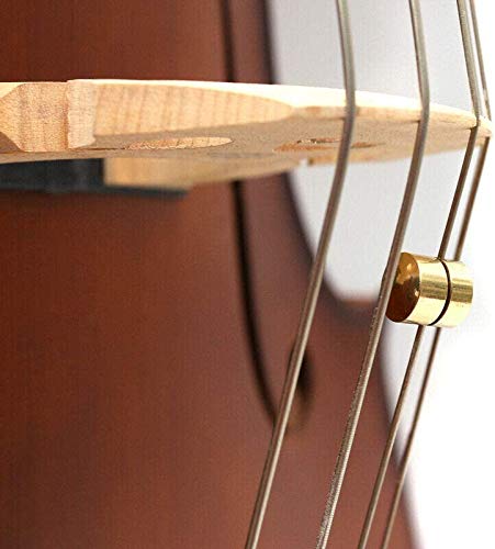Jiayouy Set of 2 Brass Cello Wolf Tone Eliminator Mute Suppressor for Cello Wolf Tone Mute Accessories
