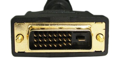AYA 3Ft (3 Feet) 28AWG DisplayPort Male to DVI-D (24+1) Cable Gold Plated Connectors 1920x1200