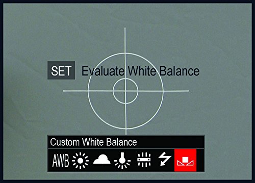 Lastolite LL LR1250 12-Inch Ezybalance Card -Grey/White