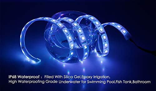 BSOD IP68 Waterproof LED Strip 16.4ft 5M 5050 SMD 300 LED Tube LED Flexible RGB/Warm White/White Lights (RGB) Rgb (Red, Green, Blue)