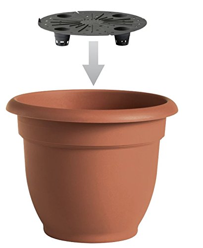 Bloem AP0625 Ariana Self Watering Planter, 6", White 6"