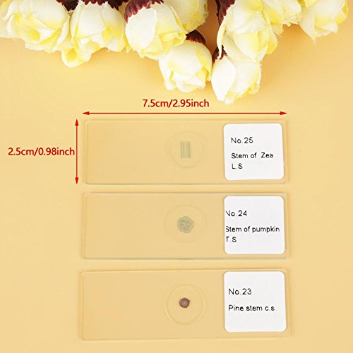 Prepared Microscope Slides 25pcs Biology Glass Lab Microscope Slides Specimens for Basic Biological Science Education with Includes Labels and Case