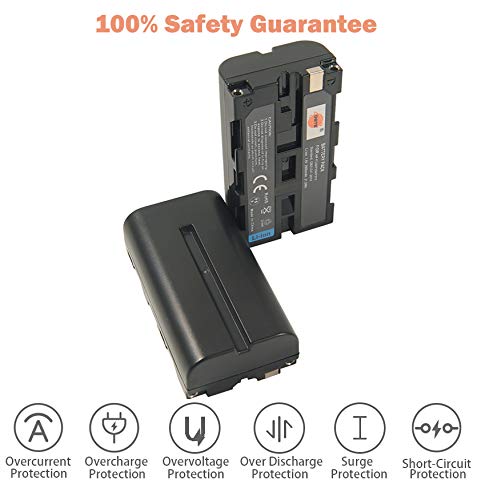 DSTE Replacement for 2X NP-F550 Battery Compatible Sony CCD-RV100 CCD-RV200 SC5 SC9 TR1 TR940 TR917 Camera CN-160 CN-216 CN-304 YN 300 VL600 LED Video Light as NP-F330 NP-F530 NP-F570