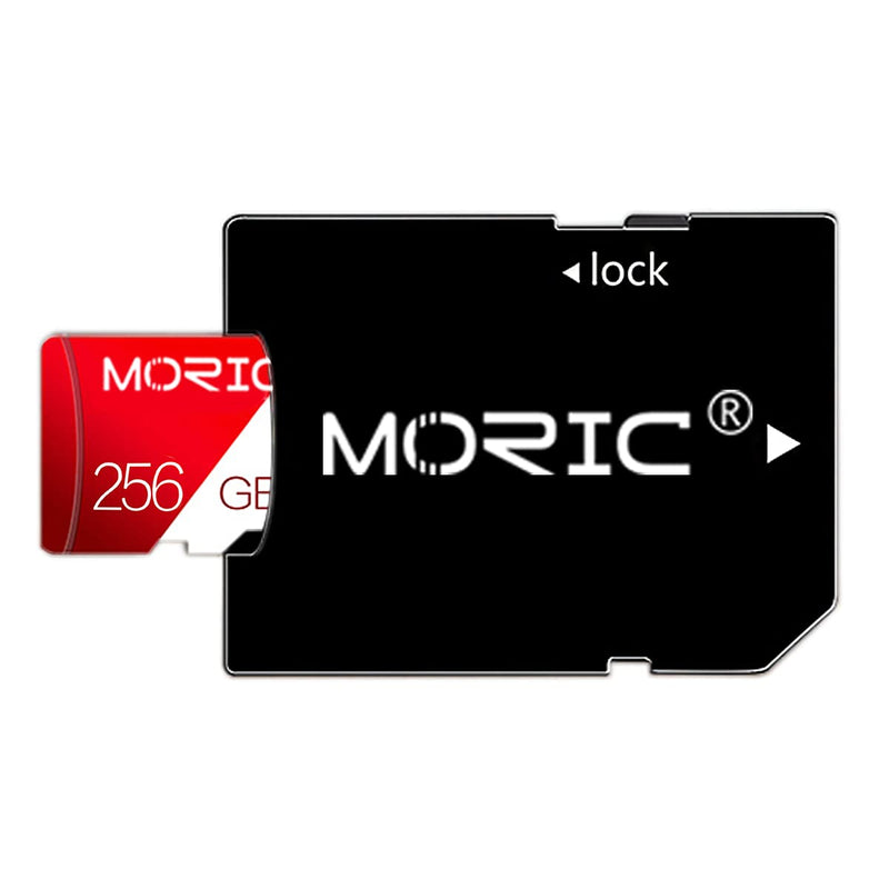 256GB Micro SD Card Class 10 with SD Card Adapter High Speed Micro SD Memory Card/SD Memory Cards for Phone, Computer, Dash Came, Tachograph, Tablet, Drone