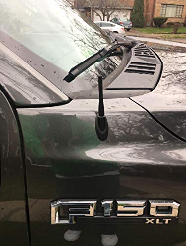 [AUSTRALIA] - POZEL 4 inches Antenna Compatible with for Ford F150 F250 F350 Super Duty Ford Raptor Trucks 1998-2020 | Short Antenna Replacement 