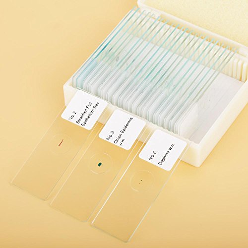 Prepared Microscope Slides 25pcs Biology Glass Lab Microscope Slides Specimens for Basic Biological Science Education with Includes Labels and Case