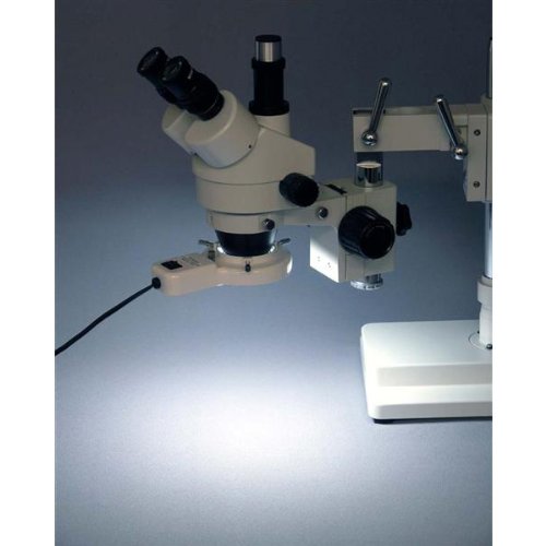 AmScope FRL8-A 8W Stereo Microscope Fluorescent Ring Light + Adapter