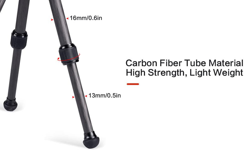 SUNWAYFOTO T16C20N II Heavy Duty Lightweight Table Top Carbon Fiber CF Tripod