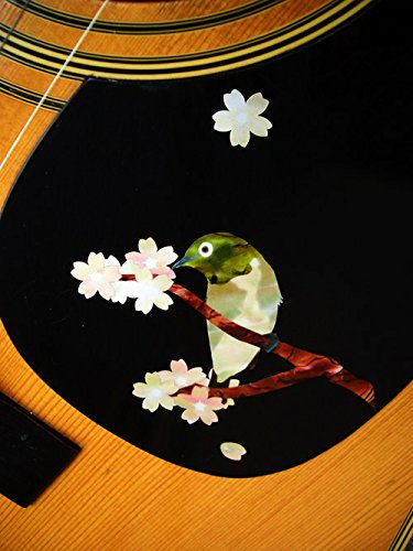 Inlaystickers for Guitars & Bass - Japanese Bush Warbler, B-182JBW