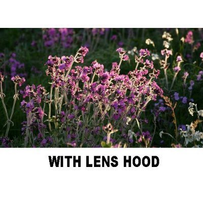 Polaroid Scalloped Lens Hood 62mm 62 mm