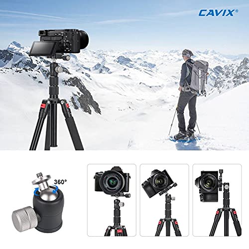 CAVIX MT-04 Mini Ball Head Cell Phone Micro Ball Head Panoramic Camera Tripod Mount w 360° Rotatable and 1/4" Thread for iPhone Phone Ring Light Stand DSLR Mirrorless Cameras Desktop Tripod Monopod 20