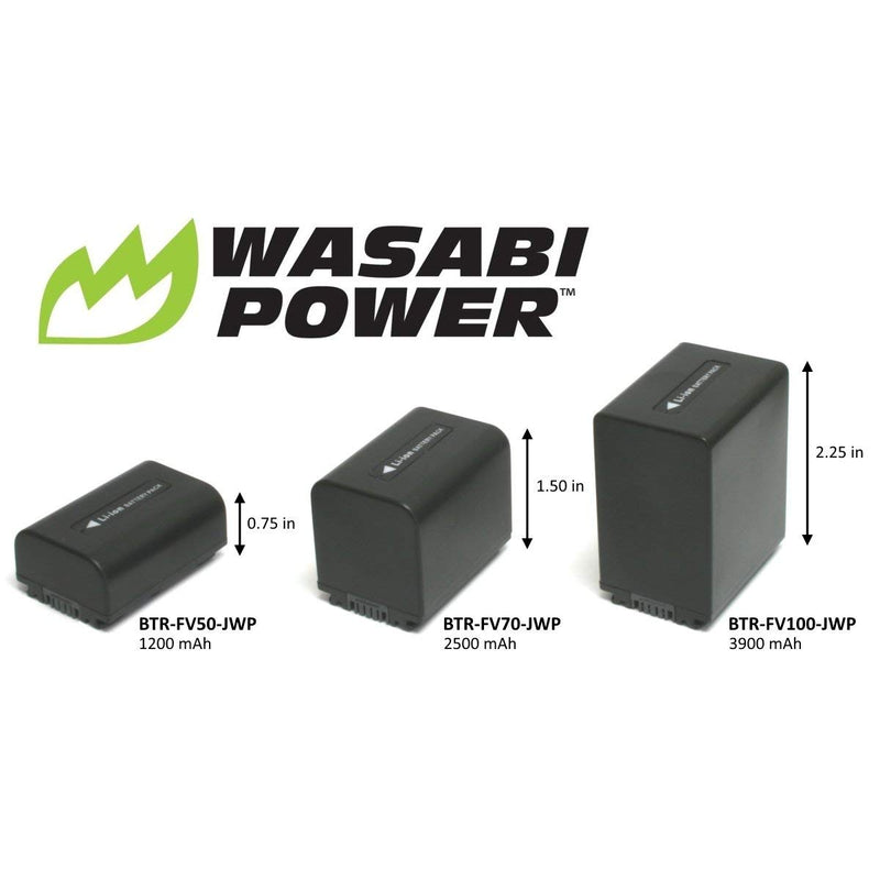 Wasabi Power Battery for Sony NP-FV100 (3900mAh, 2-Pack)