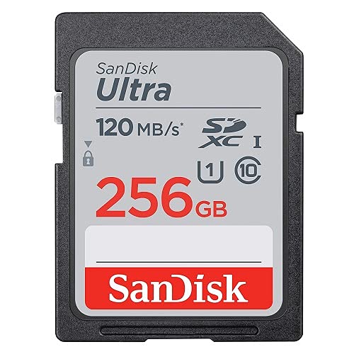 SanDisk SD Ultra Memory Card Works with Canon EOS M200, M100, M50, M5, M6 Mirrorless Camera (SDSDUN4-256G-GN6IN) Bundle with (1) Everything But Stromboli Micro Fiber Cloth (Class 10 256GB) Class 10 256GB