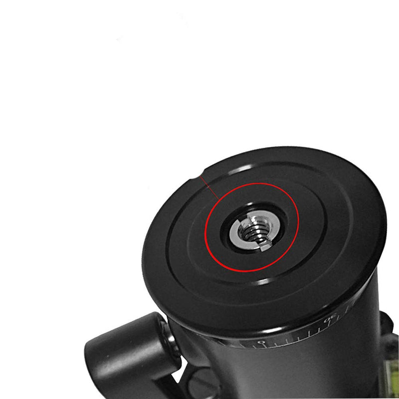 3/8" to 1/4" Tripod Ballhead Reducer Bushing Convert Screw Adapter,1/4" to 3/8" Tripod Ballhead Camera Convert Screw Adapter Mount for Tripod Monopod Ballhead Video Light Stand DSLR SLR 1/4-3/8 Adapter