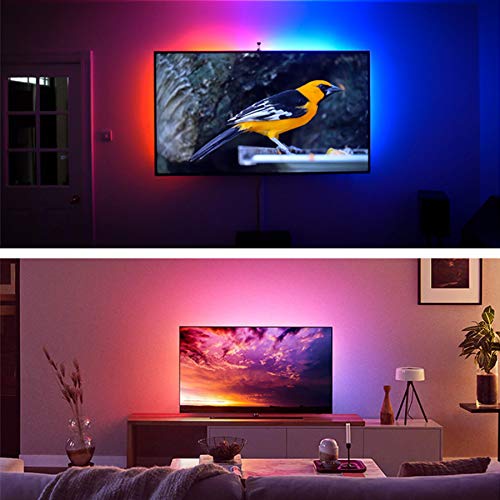TV Backlight 9.8ft RGB Color Changing Short LED Strip Lights IR Remote for Home Decoration Bedroom Cabinet 9.8 Rgb (Red, Green, Blue)