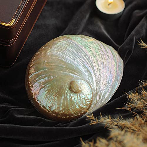 [AUSTRALIA] - Natural White Abalone Shell Sheet for Inlay and Overlay (9.4" x 5.5" x 0.007") (Ocean White Abalone) Ocean White Abalone 