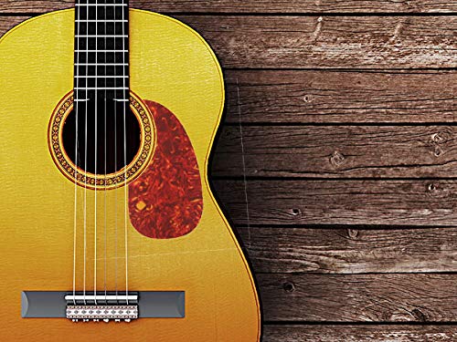 6 Self Adhesive Acoustic Guitar Pickguard Scratch Guard Plate Replacement Droplets Bird Pattern Multi-Color and Shape