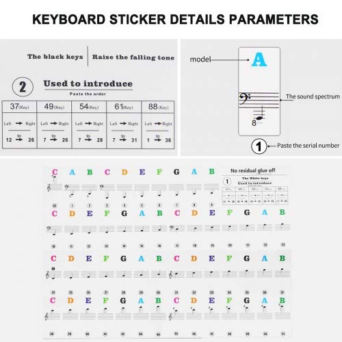 HQDeal Piano Key Stickers for 37/49/54/61/88 keys, Music Piano Keyboard Stickers, Electronic Keyboards Sticker, Piano Key Note Sticker,Transparent Removable Stickers for Kids Beginner child (A)