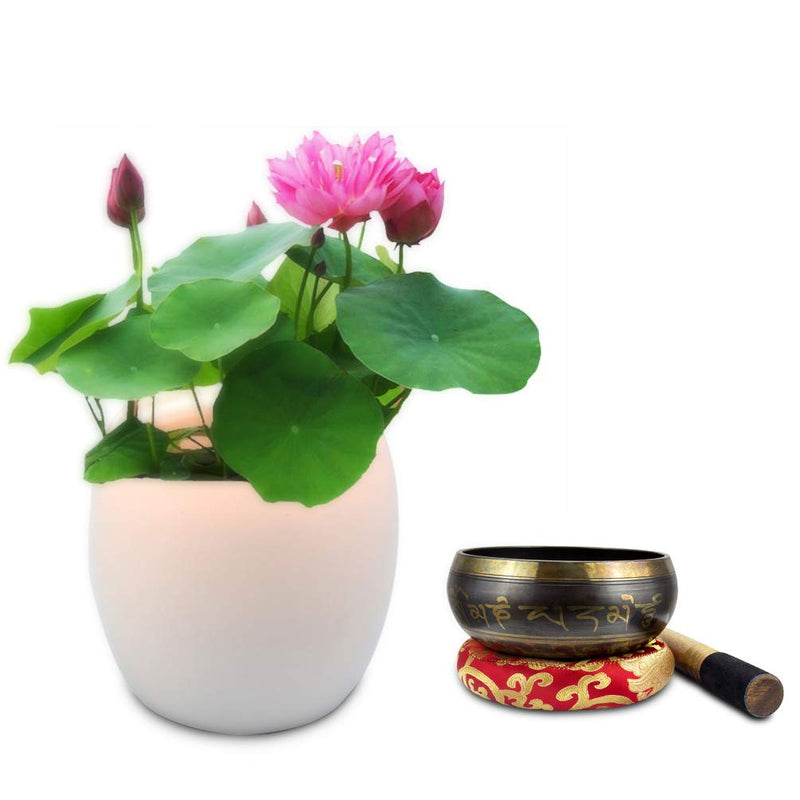 Tibetan Singing Bowl Set ~ For Meditation, Chakra Healing, Yoga, Zen Garden, Beginner, Prayer and Mindfulness ~Sound Bell Perfect Gift Beautiful Tone Antique Design 4 inch~ With Mallet & Cushion 4''