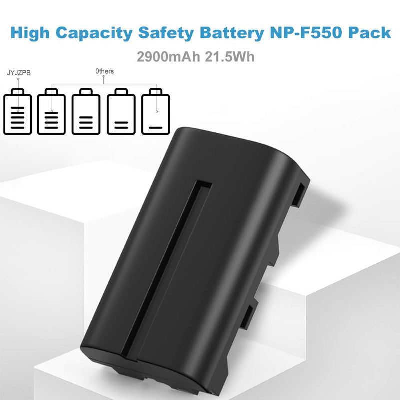 JYJZPB 2 Pack NP-F550 Replacement Batteries and Dual Charger for Sony NP F970 F750 F770 F960 F550 F530 F570 CCD-SC55 TR516 TR716 TR818 TR910 TR917 Video Light and More(2900mAh)