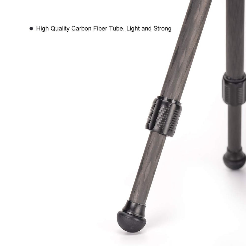 SUNWAYFOTO T16C20N Mini Desktop Carbon Fiber Tripod for DSLR Camera Stand Professional