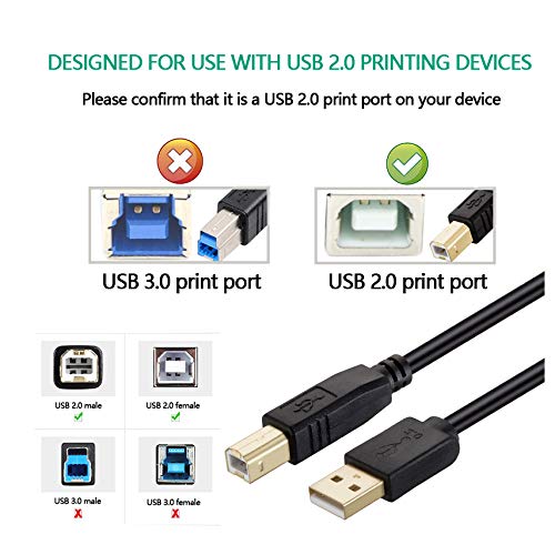 Printer Cable 10 feet, NC XQIN USB Printer Cable Cord Type A-Male to B-Male Printer USB Cable for Printer/Scanner-Gold-Plated 10ft