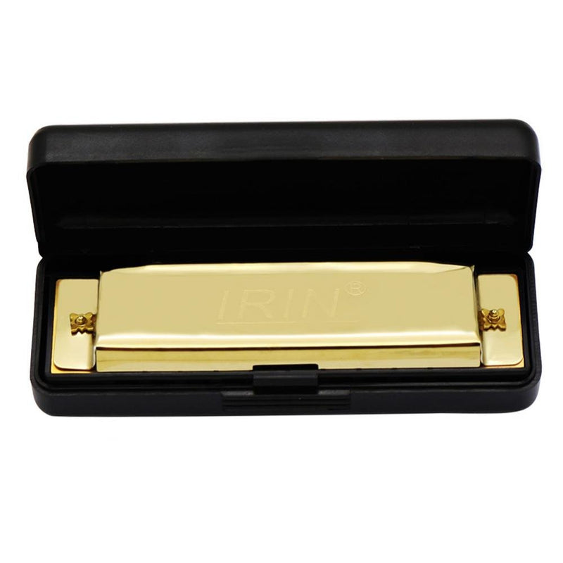 Dilwe 10 Holes Harmonica, Lightweight Metal 10 Holes Harmonica Musical Instruments for Beginner Kids Gold