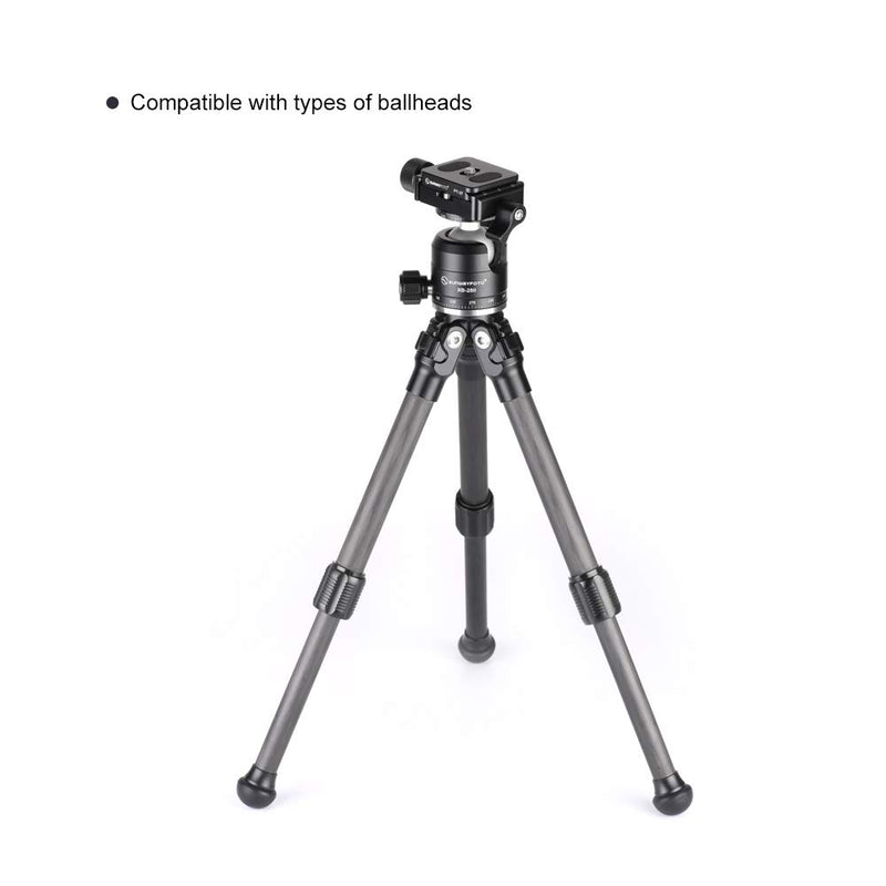 SUNWAYFOTO T16C20N Mini Desktop Carbon Fiber Tripod for DSLR Camera Stand Professional