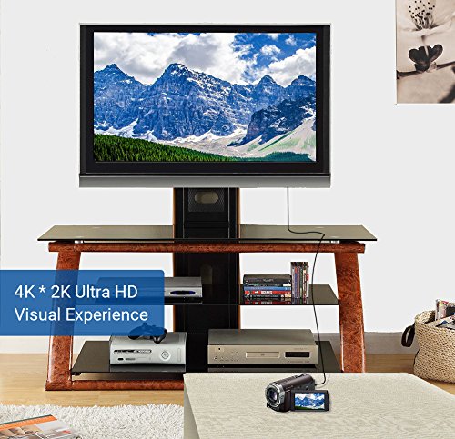 BlueRigger Micro HDMI to HDMI Cable (3 FT, 4K 60Hz, HDR, Ethernet) - Compatible with GoPro Hero 7 Black Hero 5 4 6, Raspberry Pi 4, Sony A6000 A6300 Camera, Nikon B500, Lenovo Yoga 3 Pro, Yoga 710 3 Feet