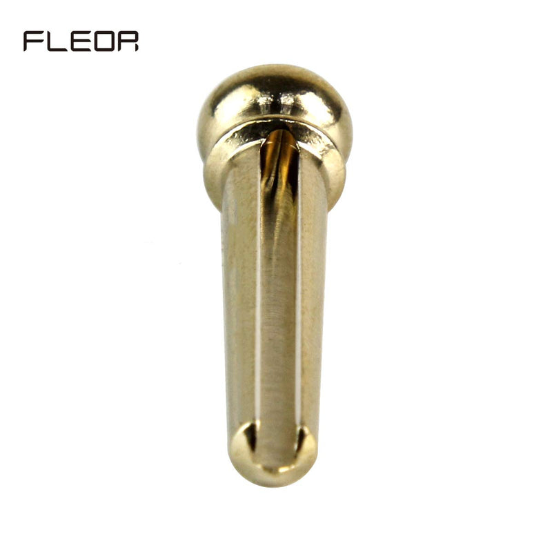 FLEOR 6pcs Guitar Bridge Pins Brass Acoustic Guitar End Pin Set