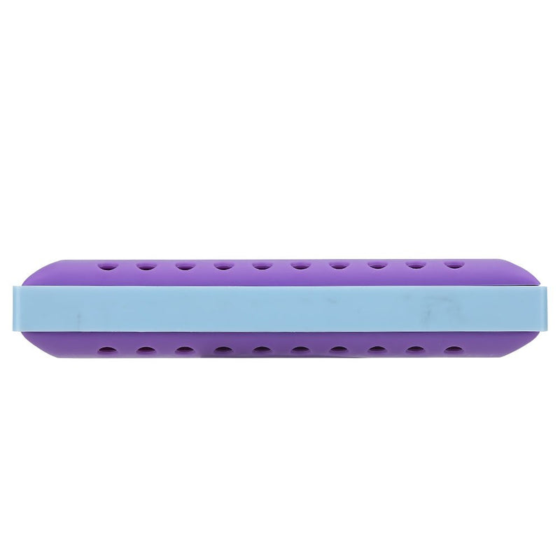 Dilwe Harmonica for Children, 10 Hole Resin Harmonica Mouth Organ Musical Instrument Toy Gift for Kids Children Beginnger Rock Jazz Folk Harmonicas Purple