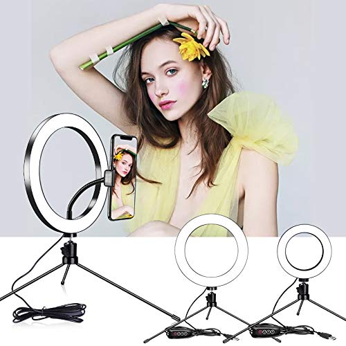 BESROY LED Ring Fill Light 10" with Tripod Stand and Phone Holder for Live Streaming&YouTube Video, Dimmable Desk Makeup Ring Light for Photography, Shooting with 3 Light Modes&10 Brightness Level