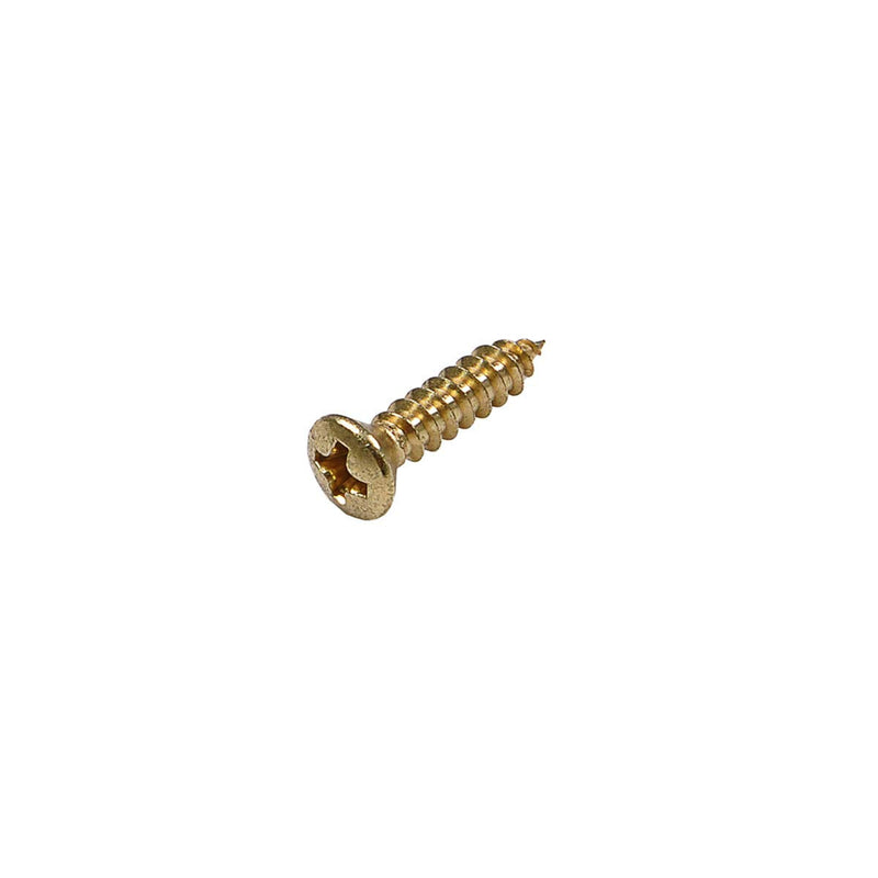 Musiclily Ultra 2.8x12.3mm Stainless Steel Pickguard Mounting Screws for Fender Stratocaster Telecaster Electric Guitar or Bass, Gold (Set of 50)