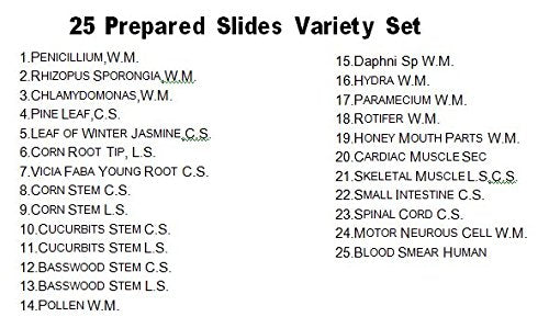 Vision Scientific VS25 Piece Slide Set, 25 Prepared Glass Microscope Slides, General Biological/Scientific Application, Shatterproof Box with Interior Padding - Free Shipping