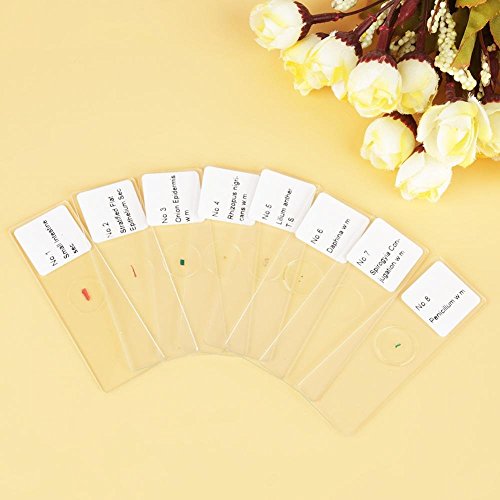 Prepared Microscope Slides 25pcs Biology Glass Lab Microscope Slides Specimens for Basic Biological Science Education with Includes Labels and Case