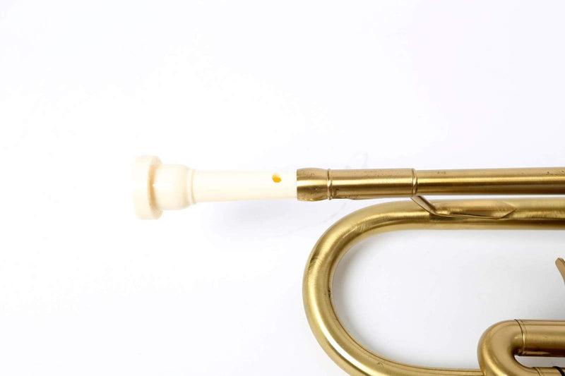 CURTIS Buzztime for Trumpet - Pro (Cream) Cream