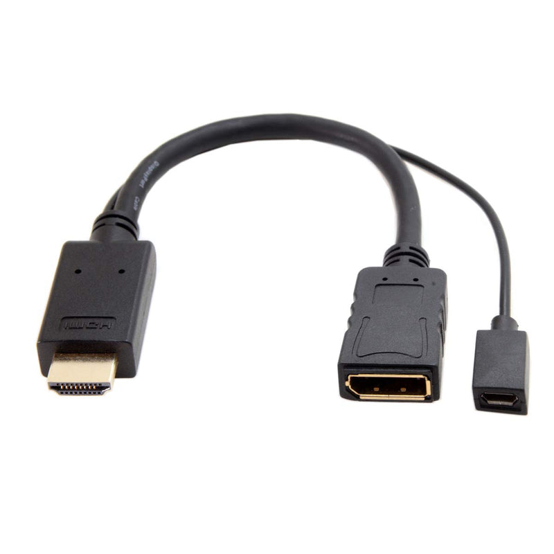 Cablecc HDMI Source to Female DisplayPort DP Sink 4K 2K Video Cable for PC Laptop Monitor 20cm