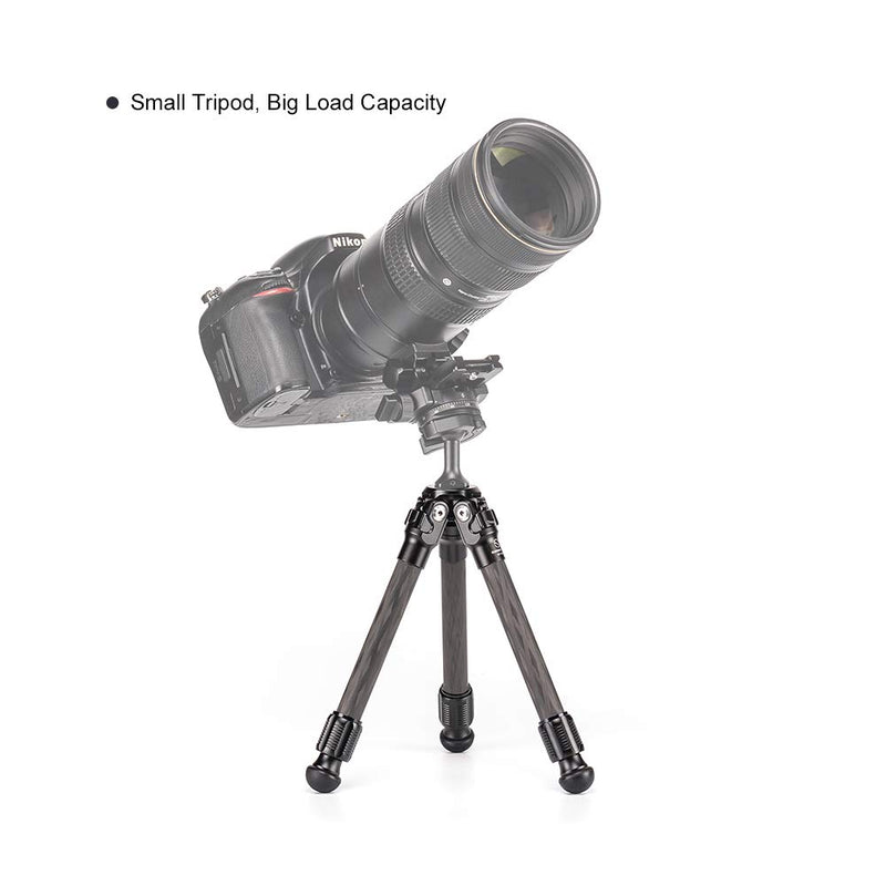 SUNWAYFOTO T16C20N Mini Desktop Carbon Fiber Tripod for DSLR Camera Stand Professional