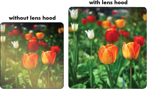 77mm Tulip Lens Hood For Nikon AF-S Nikkor 24-70mm f/2.8G ED Autofocus Lens Nikon AF-S Nikkor 70-200mm f/2.8G ED VR II Lens Nikon AF-S NIKKOR 28-300mm f/3.5-5.6G ED VR Zoom Lens