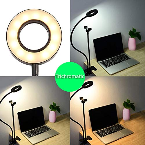 KIQ Selfie Ring Light with Phone Holder Adjustable Gooseneck Clamp/Clip [10 LED Dim LEVEL] [3 Light Temp] for Content/Marketing/Stream/Conference/Photography/Live Videos/Recording/Social Media Youtube