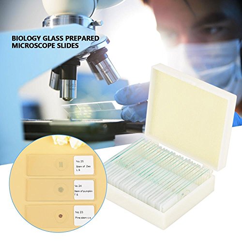 Prepared Microscope Slides 25pcs Biology Glass Lab Microscope Slides Specimens for Basic Biological Science Education with Includes Labels and Case