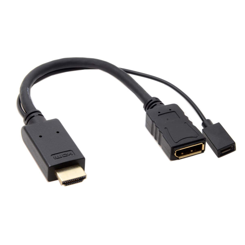 Cablecc HDMI Source to Female DisplayPort DP Sink 4K 2K Video Cable for PC Laptop Monitor 20cm