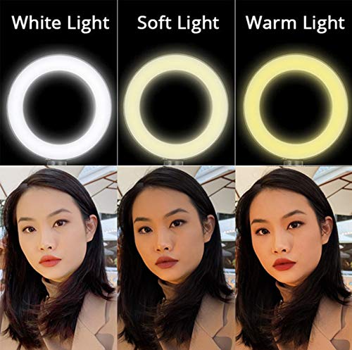 USB 10.2" Selfie Ring Light with Stand & Flexible Phone Holder,3 Light Modes & 10 Brightness,Desktop Ringlight for Tiktok/YouTube Video/Live Stream/Makeup,Remote Control Compatible with iPhone Android